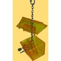 Parrot's Treasure